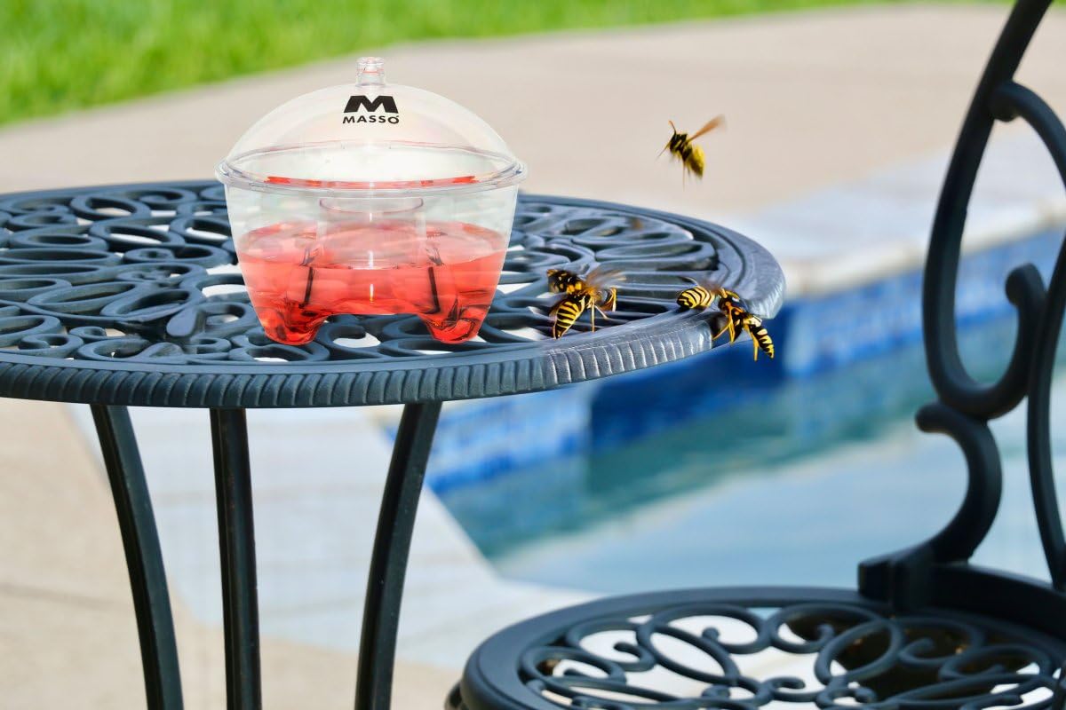 Líquido para Trampa De Avispas Y Avispones 400 Ml – Atrayente Concentrado para Exterior, hasta 4 Trampas por Envase, Duración 30-40 Días, Jardín, Piscina Y Terraza – Preben | Nexum Market — view 4