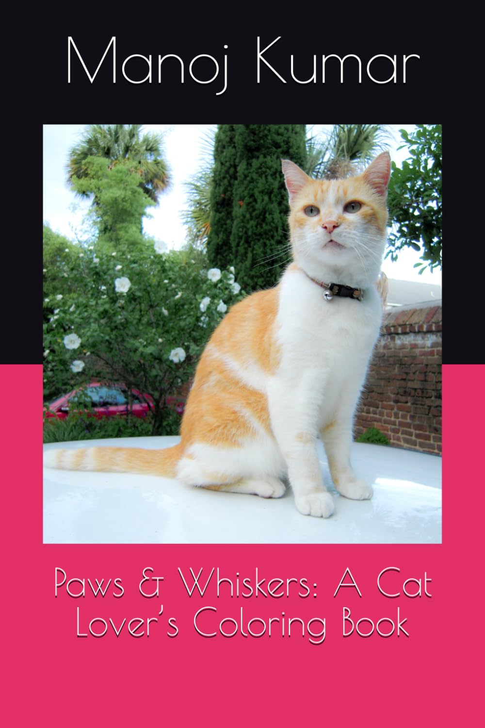 Paws & Whiskers: A Cat Lover’s Coloring Book      Paperback – September 15, 2024