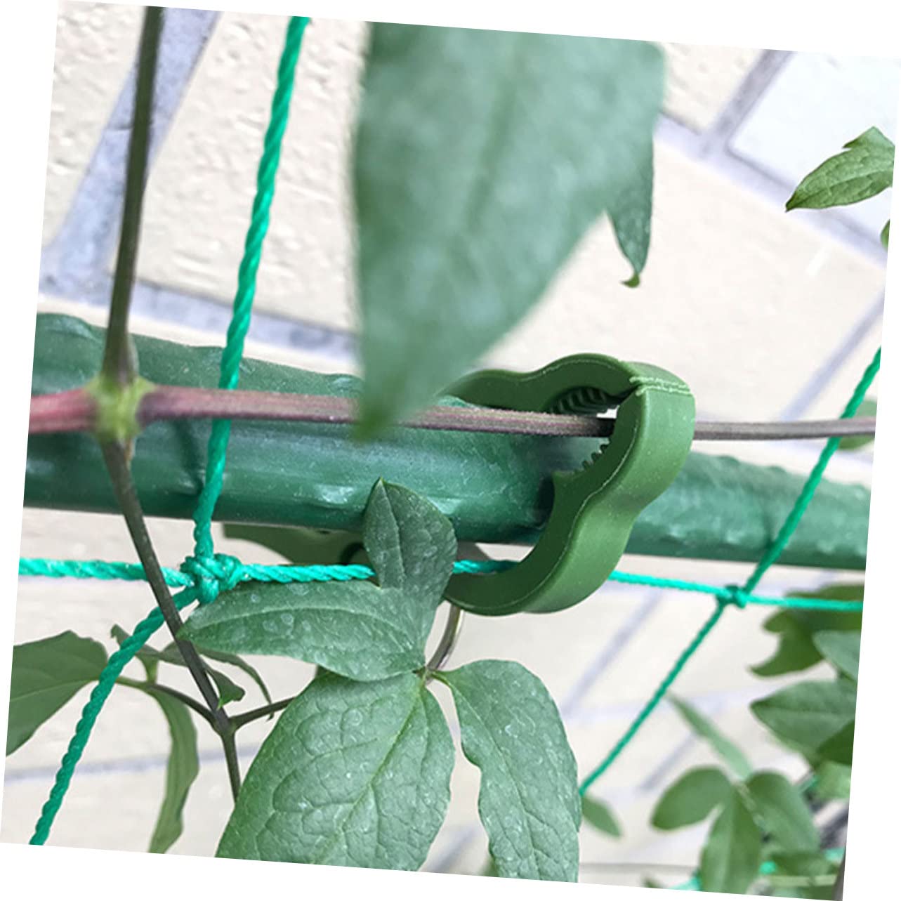 UKCOCO 4 Set Clip Fissaggio Piante per Giardinaggio E Facili da Installare E Riutilizzabili 10 Pezzi*4