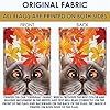 Amazon.com : Toland Home Garden 1112655 Fall Cat and Ladybug Fall Flag ...