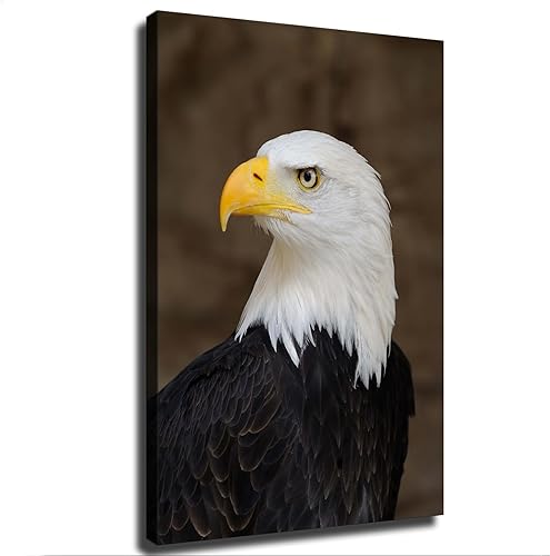 SinYor Póster de retrato de un águila calva patriótico de Estados Unidos, arte de pared moderno para habitación, sala de estar, baño, cocina,