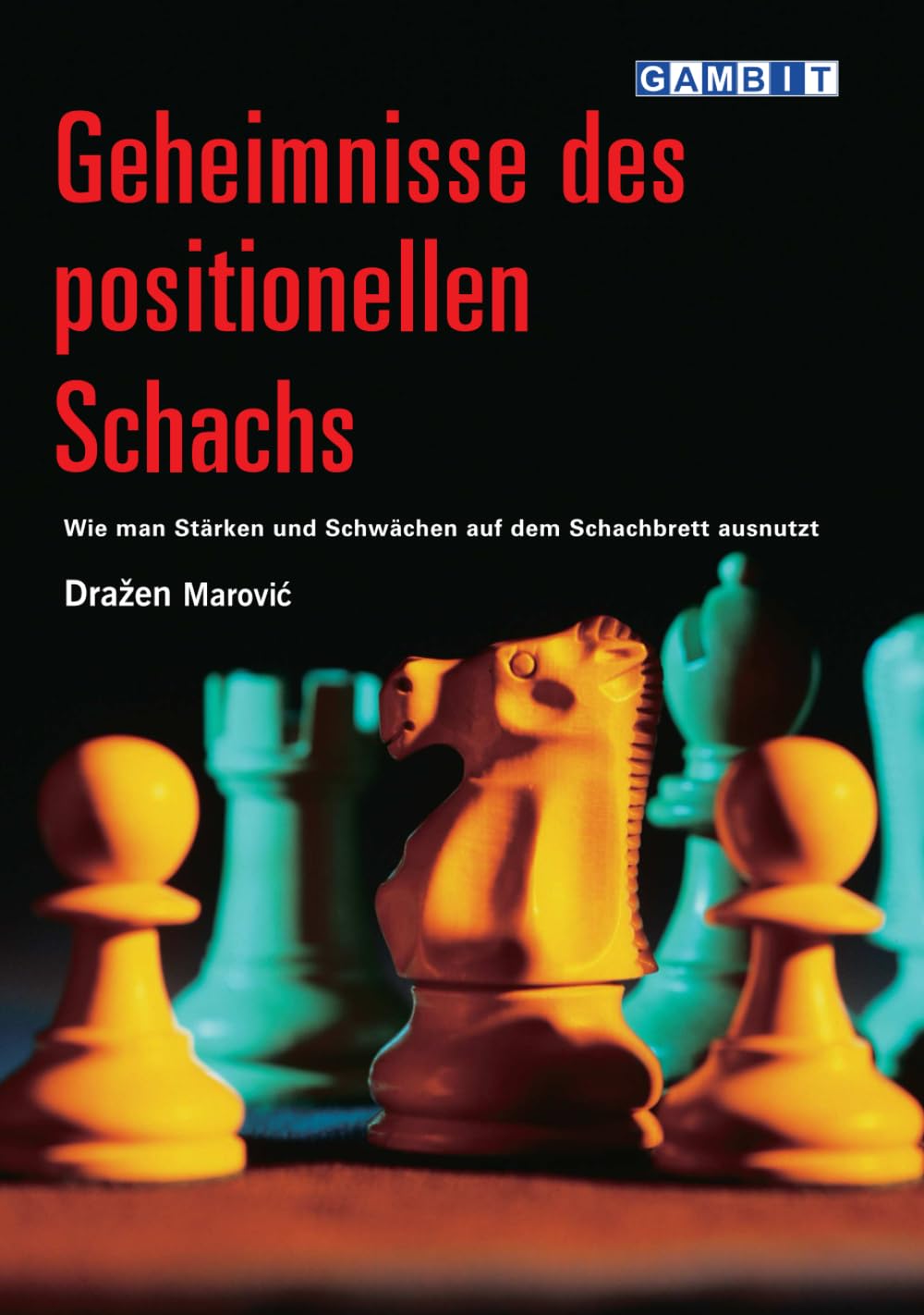 Geheimnisse des positionellen Schachs (Schachgeheimnisse)