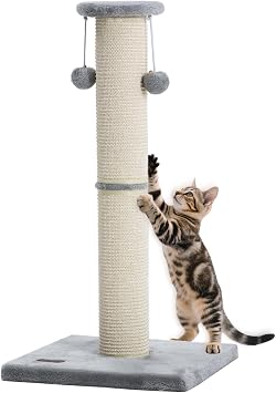 Cat Scratching Post with 2 Replaceable Sisal Scratcher
