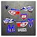 wjyfexble Motocross Graphics Stickers Kits d'autocollants pour Yamaha WRF250 2007-2013 hynwyj (Color : Orange)