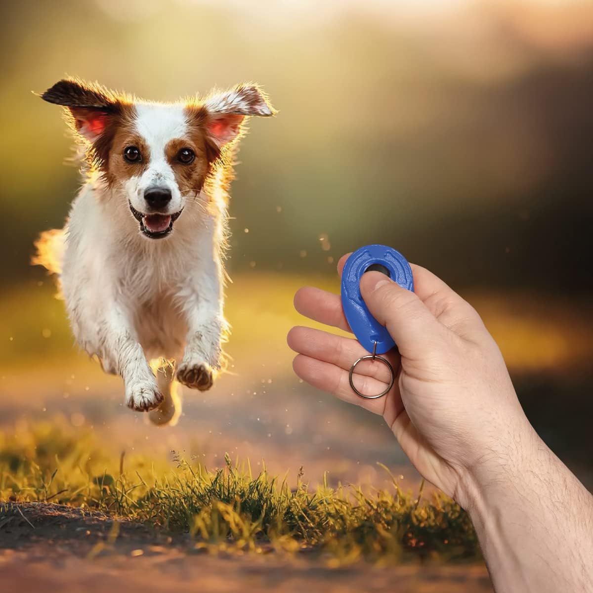 Clicker Powersell facile à tenir et robuste