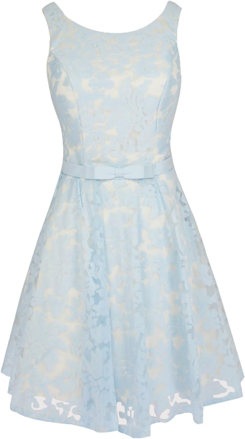 Levory J Women's Vintage Floral Lace Contrast Bow Cocktail Evening Dress (10, Sky Blue)