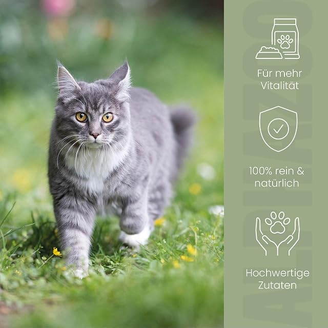 Foto 5 de 6 de alphazoo Alpha-Immun - Aceite alimenticio Premium para Gatos, 250 ml, con aceites Omega-3 y Naturales…