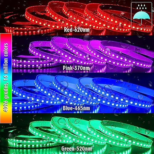 Tira LED RGB CCT impermeable IP67 24V 16.4ft miniatura 5