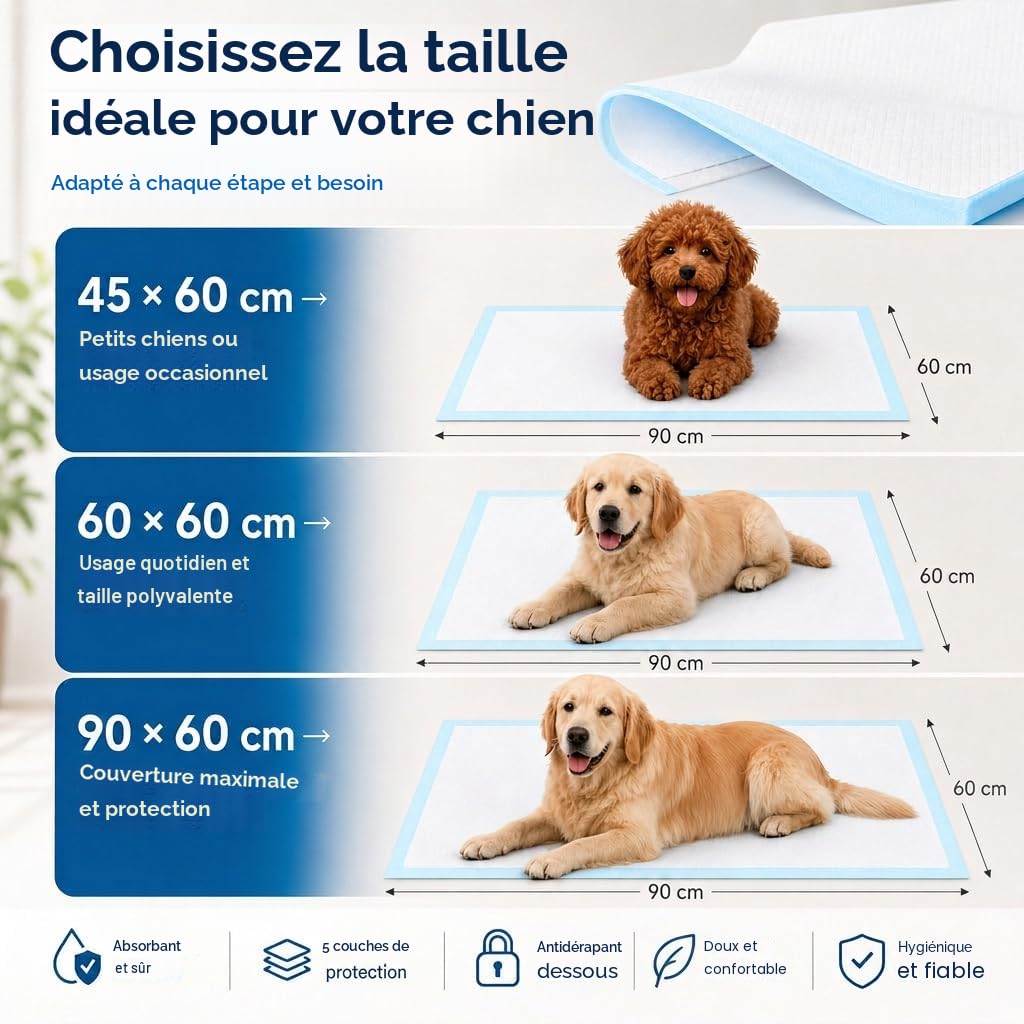 Edipets, Alaise pour Chien, Alese Jetable, 60x90, Tapis pour Chiot, Apprentissage de la Propreté, Anti-Fuite et Résistante (40 pièces)
