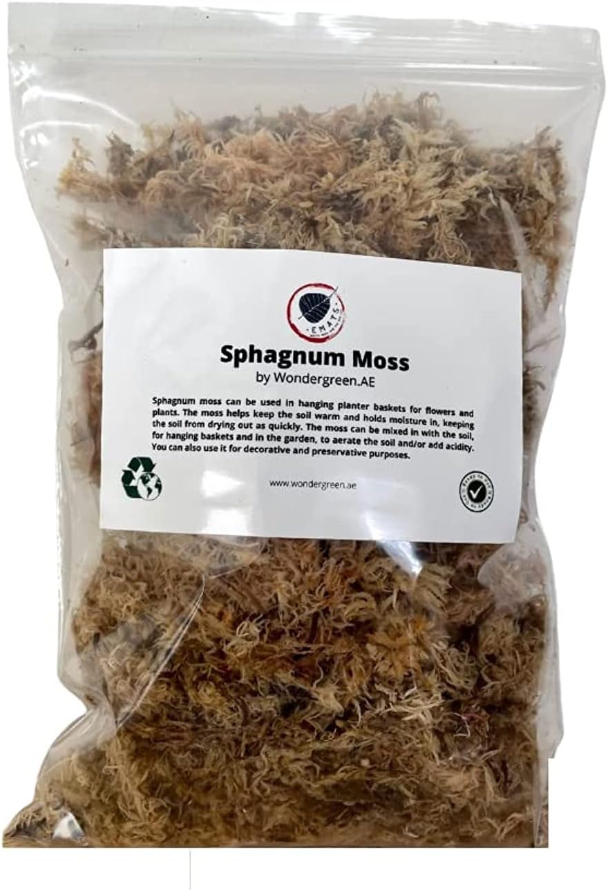 Sphagnum Moss Plant - 250g