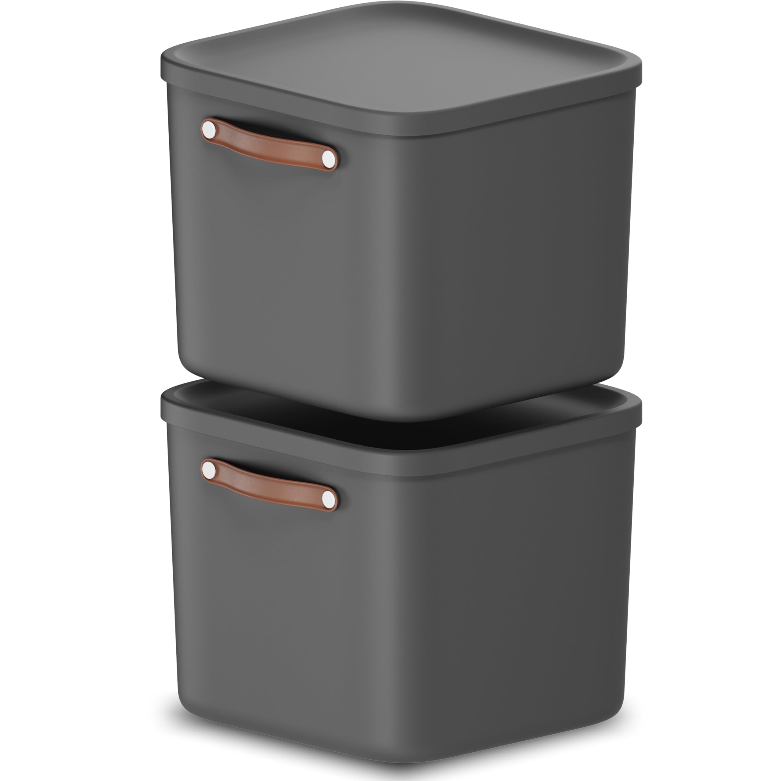 Rotho Maloja Aufbewahrungsbox mit Deckel 2 x 25 L Kunststoff Anthrazit | Aufbewahrungsboxen im 2er-Set, stapelbar, mit passendem Deckel und Trageriemen, modular kombinierbar, einfach zu reinigen