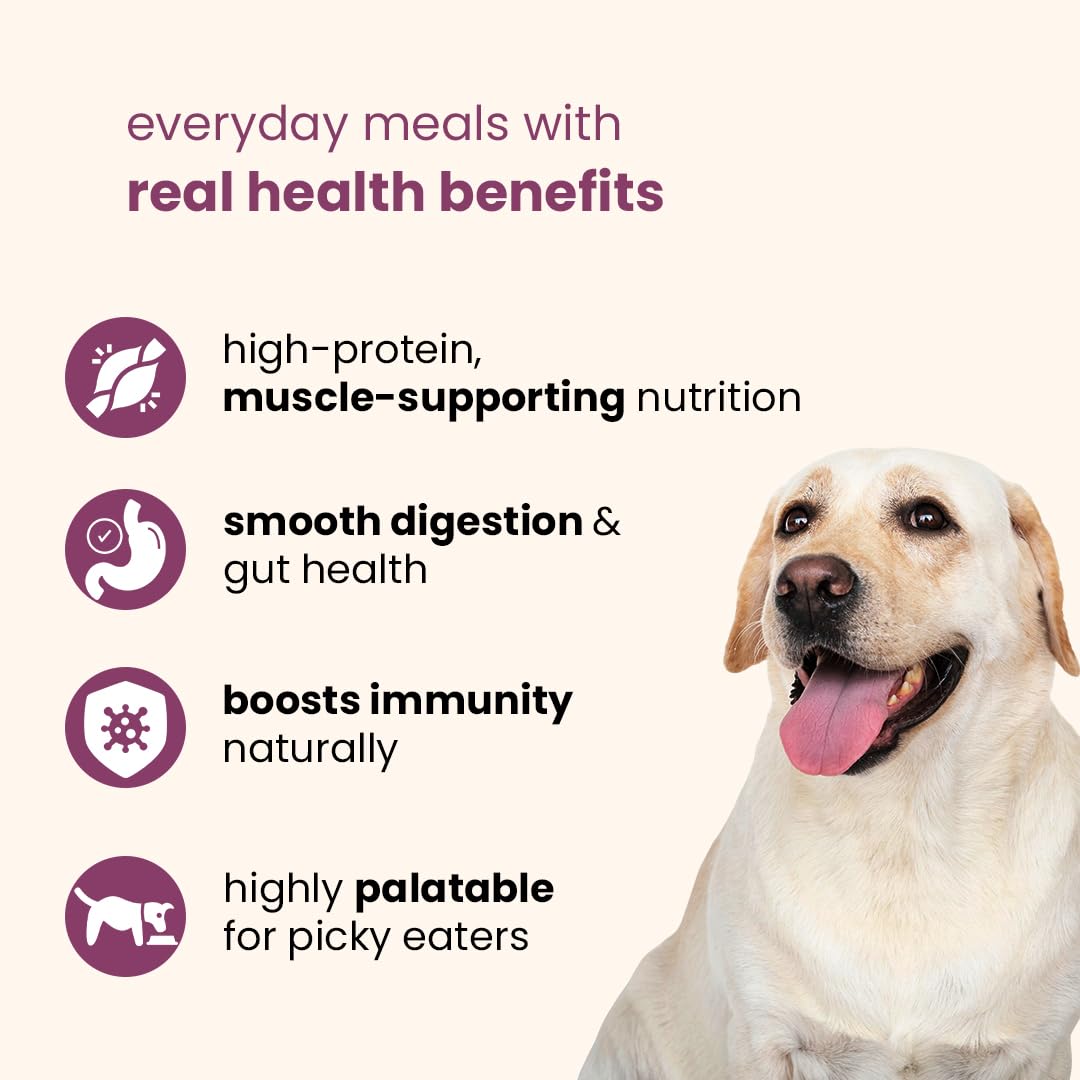 Nootie Gently Cooked Fresh Dog Food | Human-Grade, Vet-Formulated Meal | Chicken Liver, Beetroot & Rice | Preservative-Free | Adult Dogs All Breeds | 300g (Pack of 3) 3