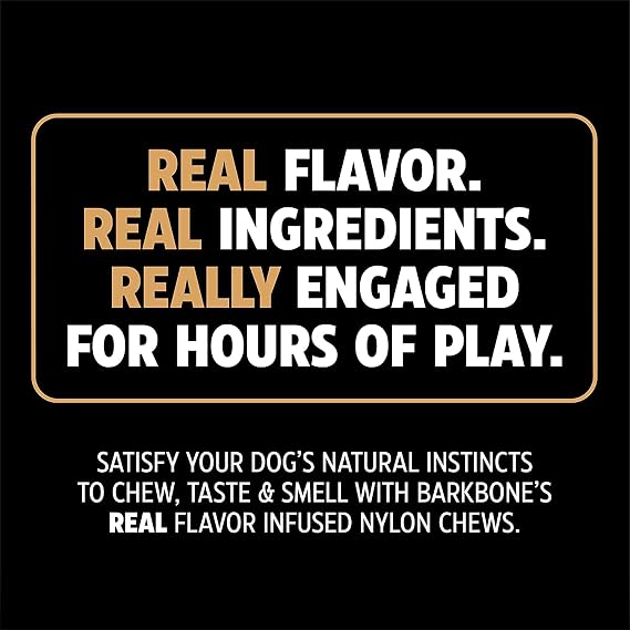Pet Qwerks Nylon Stick BarkBone - Durable Dog Toys for Aggressive Chewers - Peanut Butter Flavor - 10.75