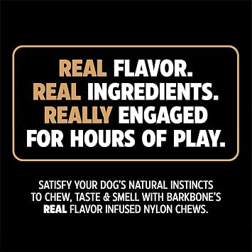 Pet Qwerks Nylon Stick BarkBone - Durable Dog Toys for Aggressive Chewers - Peanut Butter Flavor - 10.75