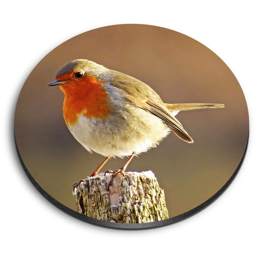 Destination Vinyl Ltd Multicolor 1 X Round Mdf Magnet - Robin Redbreast Bird Animals Birds 8701