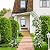 VINGLI Garden Arbor, Arch Archway for Wedding Ceremony Party, Steel Garden Trellis for Plant Climbing, Christmas Garden Decorations Pergola for Garden, Backyard, Lawn (59.1"x 22.8"x 83.9", Black)