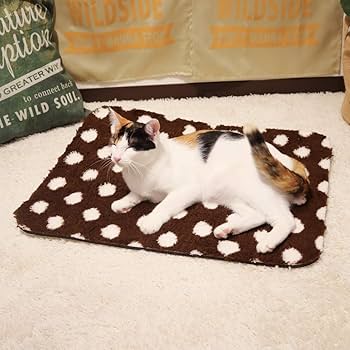 Amazon | ドギーマン ネコ用 遠赤外線炭パワー 超暖もこほわ