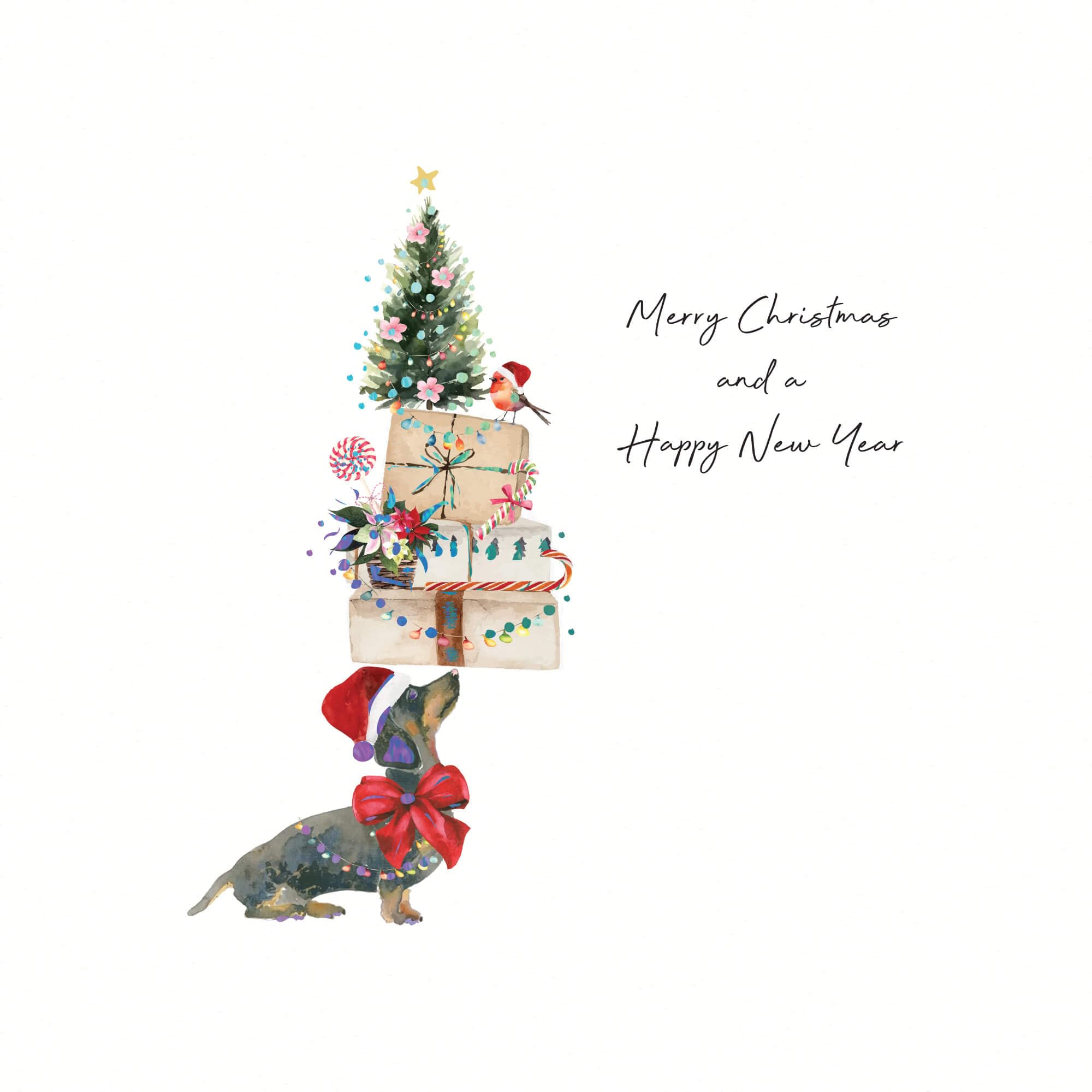 Five Dollar Shake 6 Luxury Christmas Cards Dachshund Dog Gifts Xmas Box Set