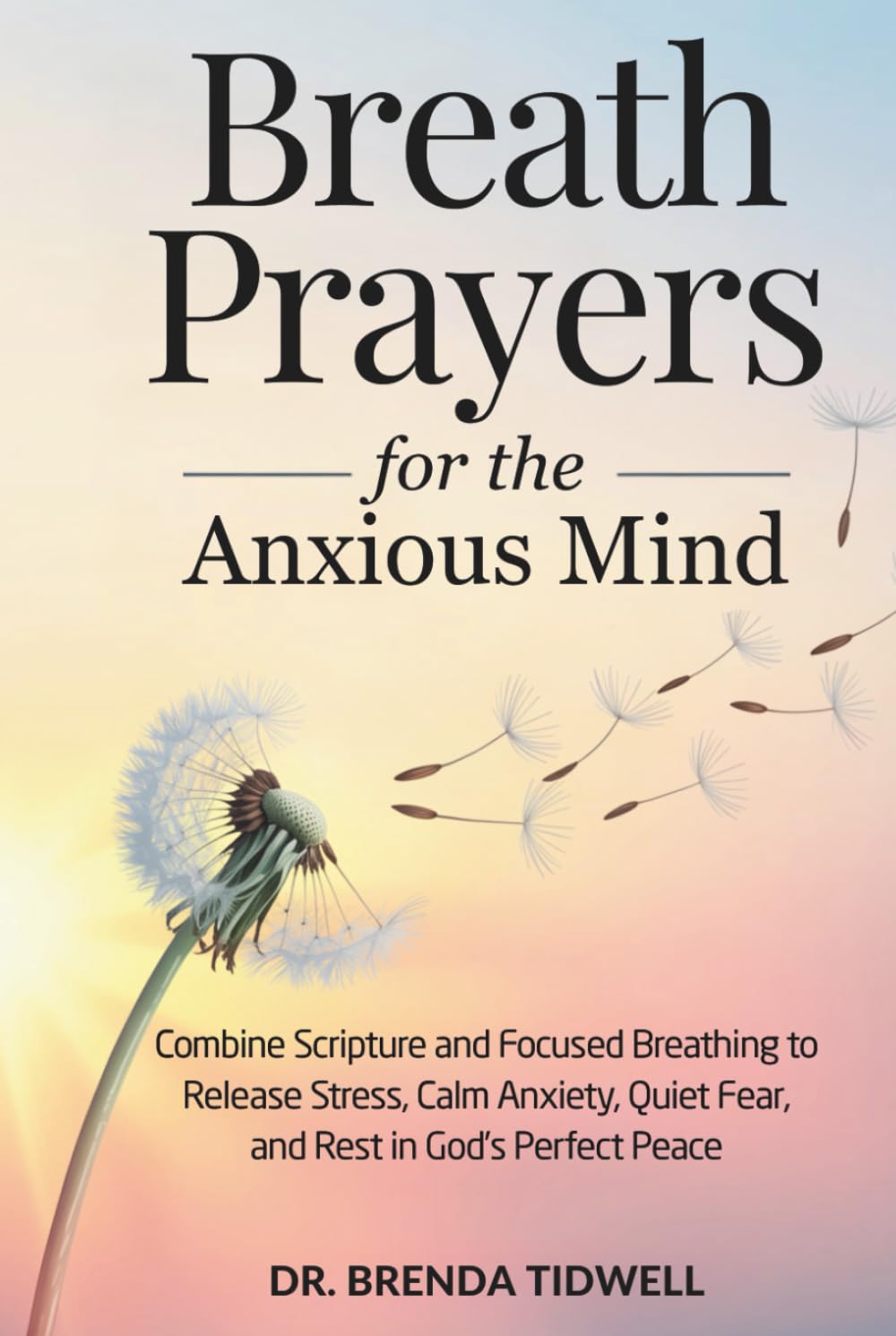Breath Prayers for the Anxious Mind: Combine Scripture and Focused Breathing to Release Stress, Calm Anxiety, Quiet Fear, and Rest in God’s Perfect Peace (The Anxious Mind Series)