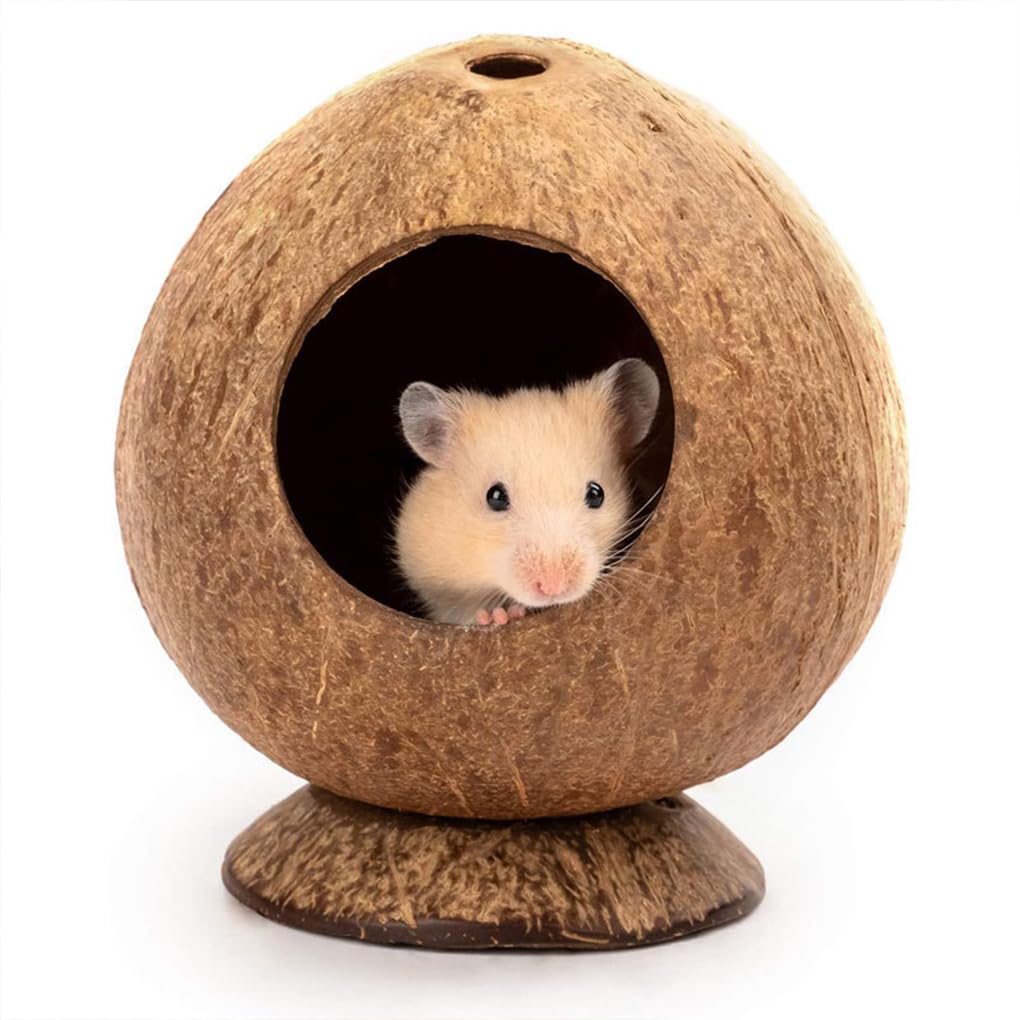 5er-Set Kokosnuss-Hamsterhaus – einzigartiges Haustier-Hamsterhaus, pflegeleicht, pflegeleicht, ideal für kleine Räume