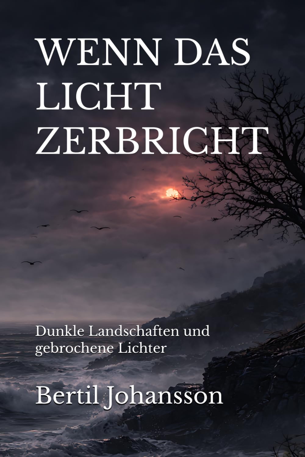 WENN DAS LICHT ZERBRICHT: Dunkle Landschaften und gebrochene Lichter (Im Atem der Zeit)