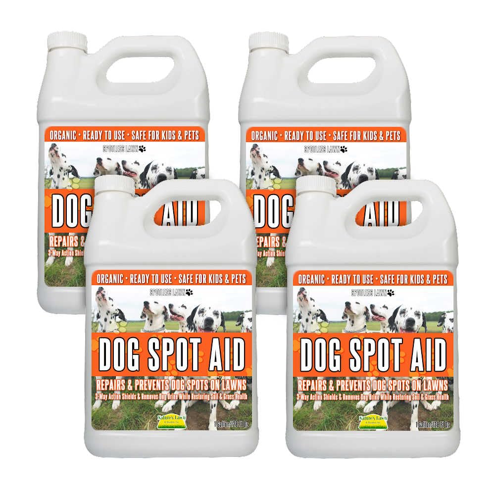 Buy Nature’s Lawn & Garden Spotless Lawn Natural Dog Spot Aid