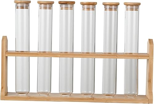Miniatura 7 de KLKCMS Tubos de ensayo de vidrio, tubos de almacenamiento de granos de café, viales de vidrio dosificadores con tapas, tubos de granos de café,