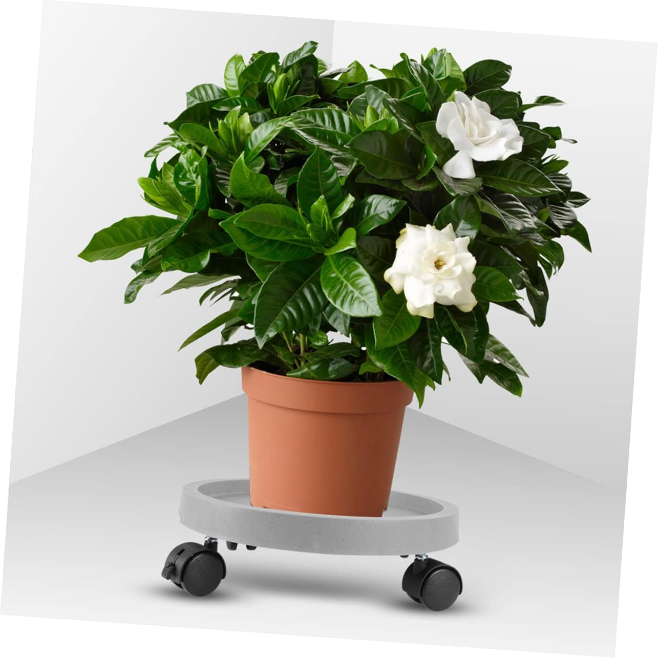 VICASKY Flowerpot Tray with Water Catching Saucer Mobile Plant Pot Base for Use Outer Height Grey for and Garden Plants