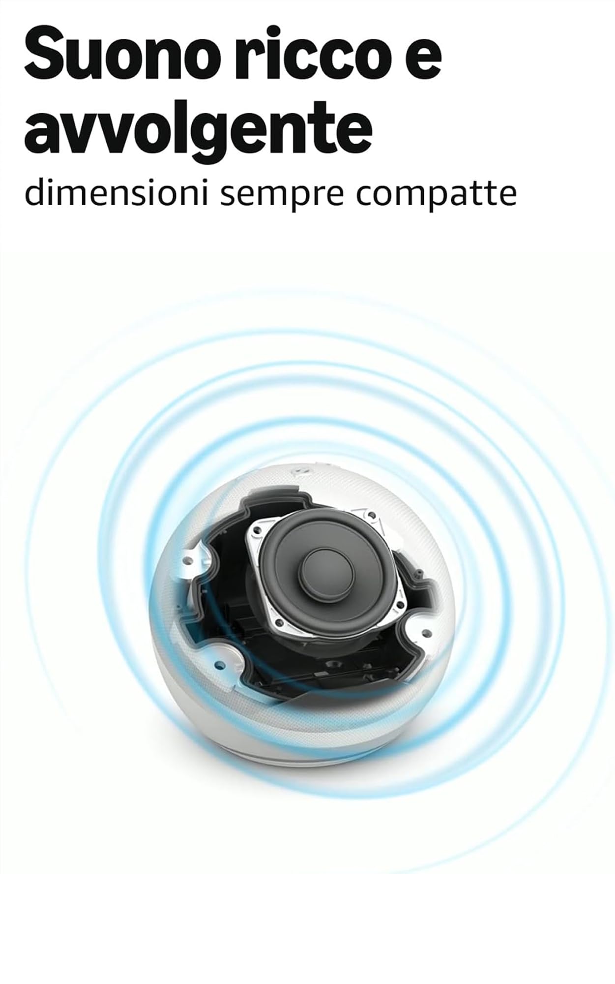 Echo Dot (5ª generazione) | Antracite + WiZ Presa intelligente, compatibile con Alexa - Kit di base per Casa Intelligente