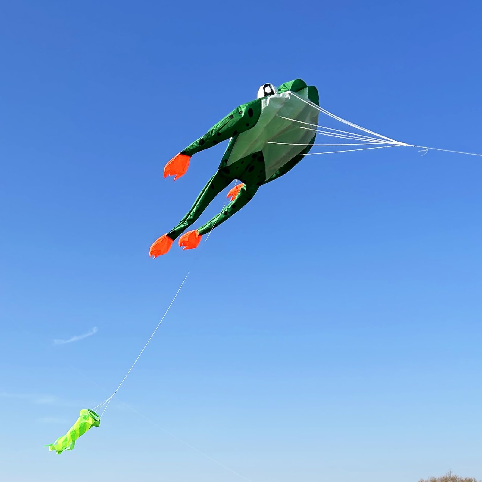 Touch the sky Cerf-Volant Grenouille 3D Doux pour Enfants et Adultes, Facile à Voler, Tissu Exquis et Structure Unique, Idéal pour Les Activités de Plein Air, Parfait pour Les Débutants.