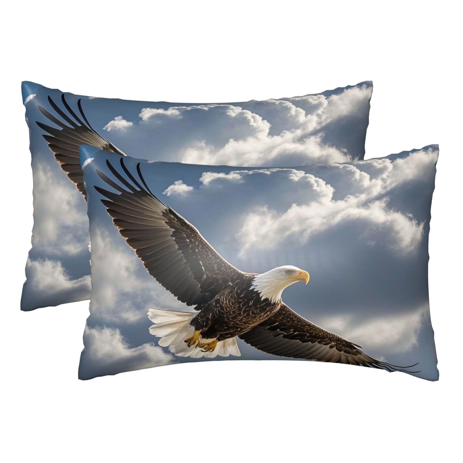 Silk Pillowcases Set of 2 Pillow Shams Breathable Soft Pillow Covers with Envelope Closure eagle flies in the sky Pillowcases Standard Size 20x30 Inches Washed Pillow Cases for Hair and Skin