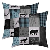 Cadeau saisonnier unique : conçu pour une décoration saisonnière. Nos housses de coussin d'art moderne peuvent vous aider à changer facilement la décoration de la maison de ferme. C'est également un cadeau idéal pour votre famille et vos amis. Motifs exquis, tissus confortables et durables, pensez que votre famille et vos amis l'aimeront beaucoup. Maintenant, préparez-vous à recevoir des compliments.