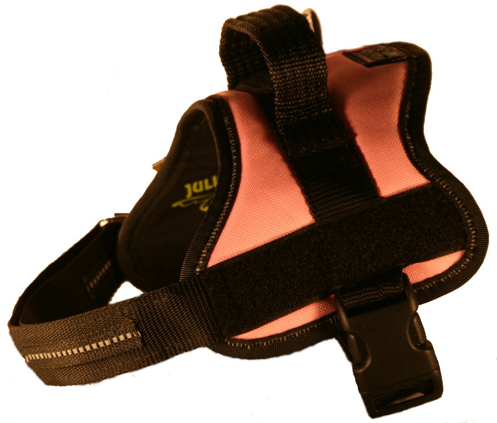 JULIUS-K9Powerharness, Size: M/0, Red — view 38