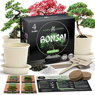 Bonsai Tree Kit, Grow Your Own: Premium 4 Bonsai Trees Starter Kit | Gardening Plant Gift for Beginners & Gardeners | Unique Japanese Gifts for Women, Men, Moms Who Have Everything, Crafts for Adults