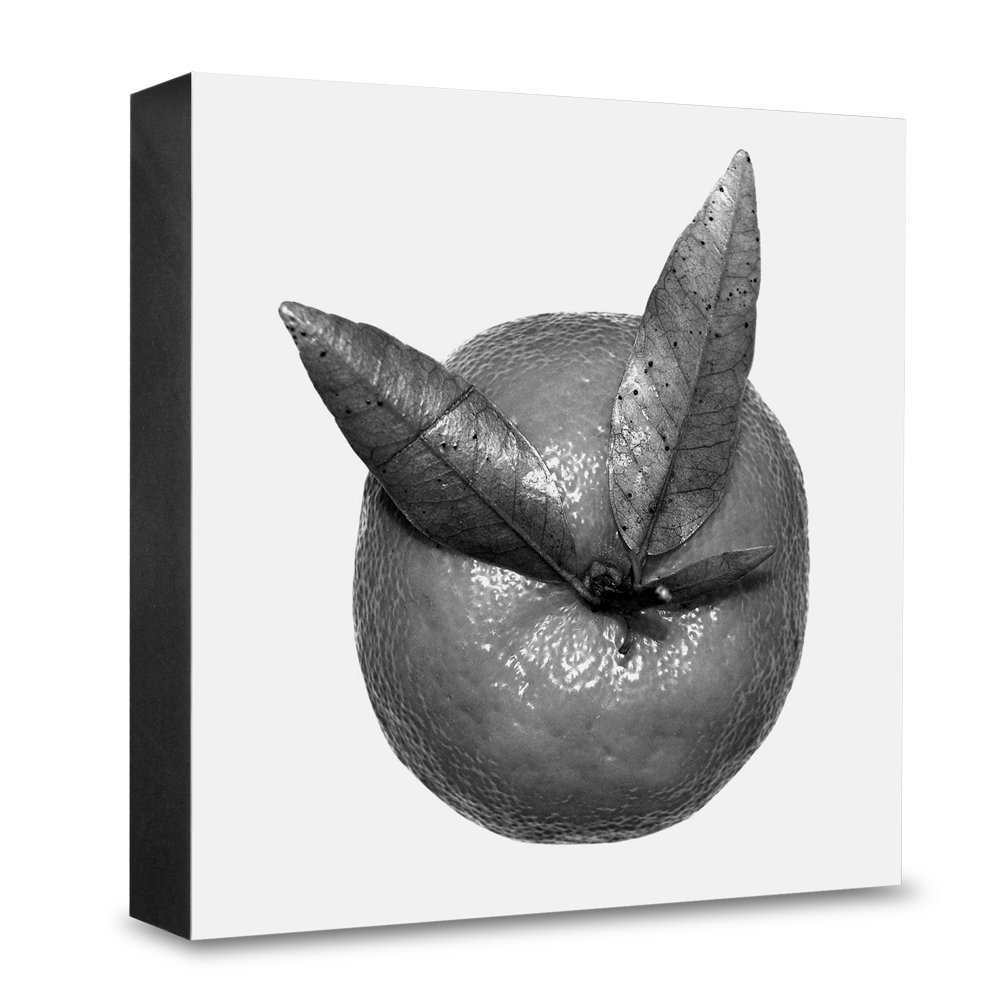 Bloc de papier photo en bois 15x15 cm noir et blanc animaux pour une deco naturelle