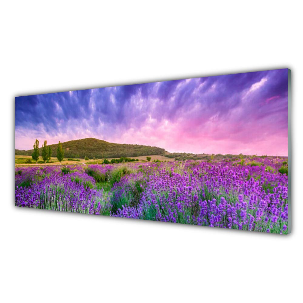 Impression sur verre trempé haut de gamme 125x50cm panorama nature et montagnes Tulup