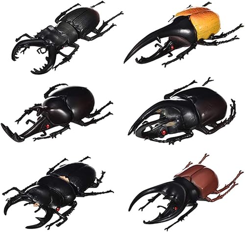DOYIFun Paquete de 6 juguetes de modelo de escarabajo realistas, colección de figuras de insectos realistas falsas, juguetes educativos de DOYIFun Paquete de 6 juguetes de modelo de escarabajo realistas, colección de figuras de insectos realistas falsas, juguetes educativos de