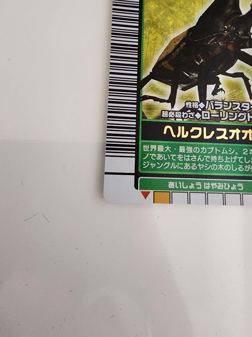 またこ ヘルクレスオオカブト2003 SPRING春 学名黒バーコードキラ またこ様専用 ヘルクレスオオカブト2003 SPRING春 学名黒バーコード