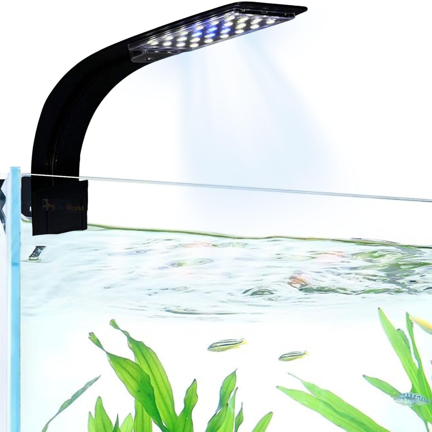VAYINATO® M-280 (Blue & White) Super Slim LED Aquarium Light Fit for 1~3 Feet Tank Plants Grow Lighting Creative Clip-On Lamp, Black by Petzlifeworld (B0CZL9LDCX) Amazon Price History, Amazon Price Tracker