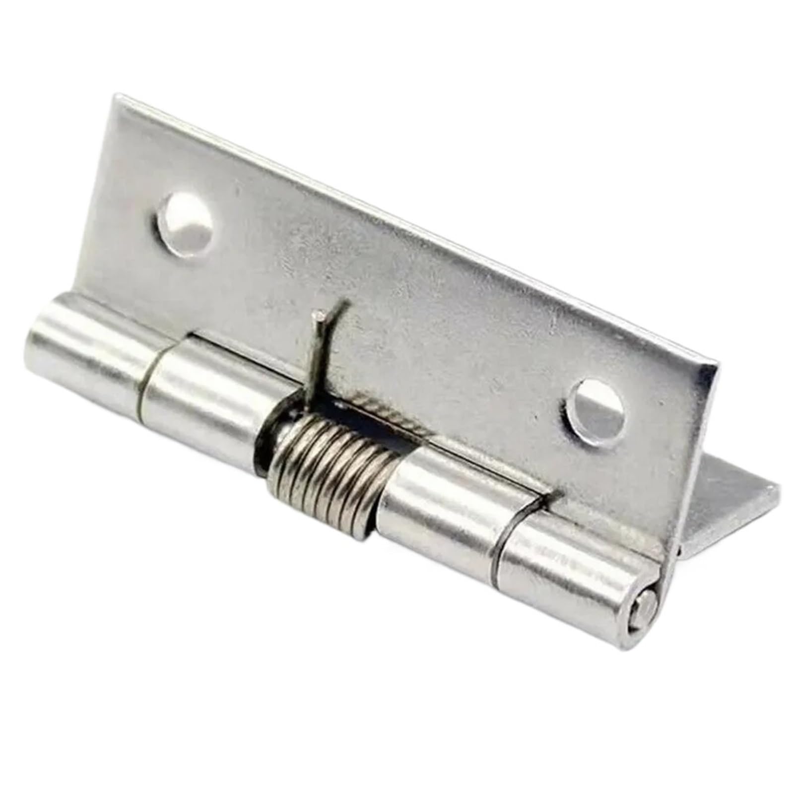 Wsqhao One Color 6Pcs Spring Hinges Self Closing Stainless Steel Door Hinge Hardware For Doors Cabinets For Doors(2.5 Inch)
