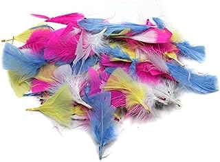 Creative Arts by Charles Leonard Feathers, Turkey, Bright Colors 14 Grams/Bag (63035)
