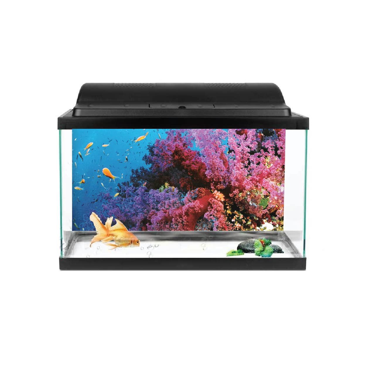VVWV® Aquarium Background Stickers for Fish Tank Waterproof Vinyl Printed Multicolored Plant Sticker (61 x 30 CMS) (B0BWJQ81KG) Amazon Price History, Amazon Price Tracker