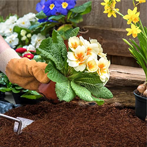 Tierra Y Fertilizantes, Video On Demand Imagen adicional