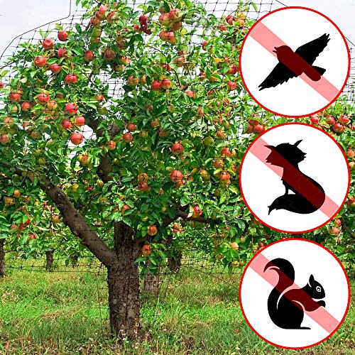 Hourleey Bird Netting, 7 X 100 Ft Black Deer Fence Netting Reusable Protective Garden Netting For Vegetables Plants Fruit Trees With 50 Pcs Cable Ties #TOP1
