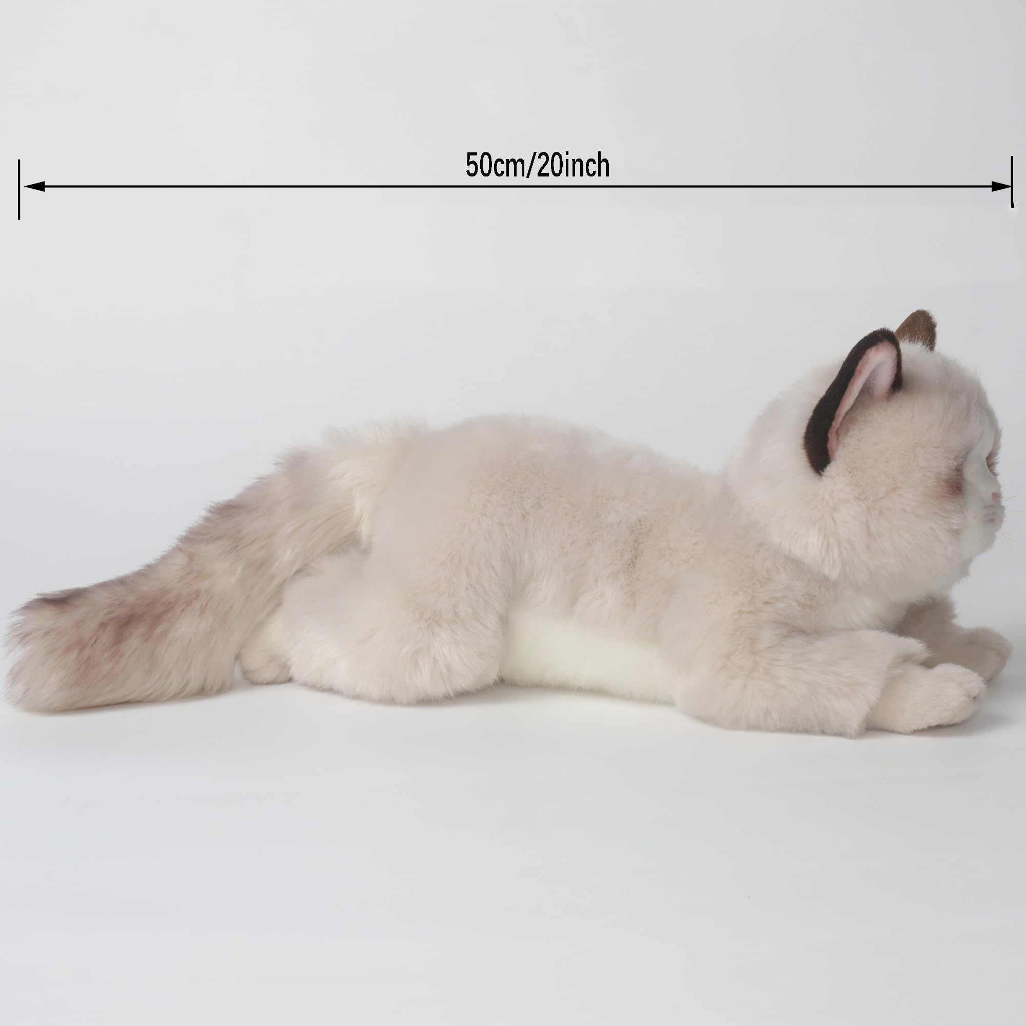 リアル猫　ぬいぐるみ　ラグドール Amazon.co.jp: HOKESS 20インチ ラグドール 猫 ぬいぐるみ 本物