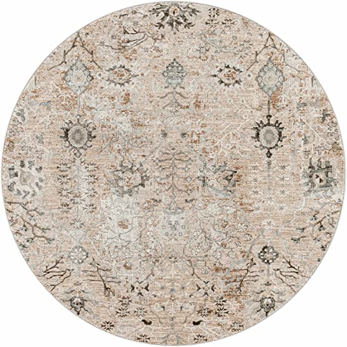 Hauteloom Octavia Boho Vintage Traditional Oushak Area Rug with Tassles - Farmhouse Oriental Floral Damask Carpet for Living Room, Bedroom, Dining Room - Taupe, Beige, Olive; Blue 6'7" Round