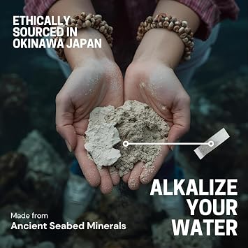 X2O Flavorless Drop-In Mineral Bags for Alkaline & Hydrogen Water 30 Count | Alkalize Filtered Water | Add 70+ Ionic Trace Minerals for Cellular Hydration, Balanced pH, and Electrolytes