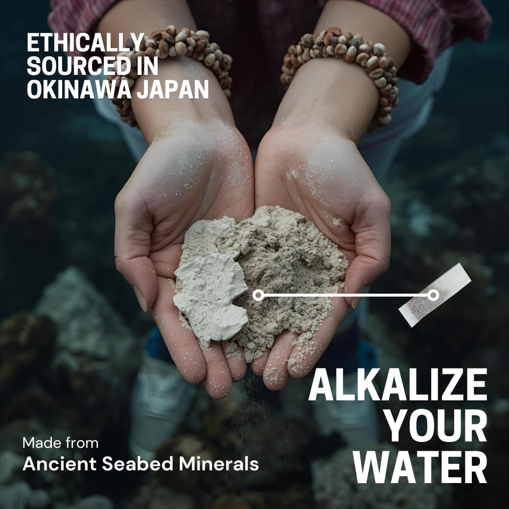 Amazon.com: X2O Drop-in Trace Mineral Bags | Alkaline Hydrogen