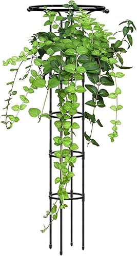 Enrejado de plantas de interior  Enrejado en forma de paraguas para plantas trepadoras  Enrejado de jardín interior, enrejado de jardín, estaca de