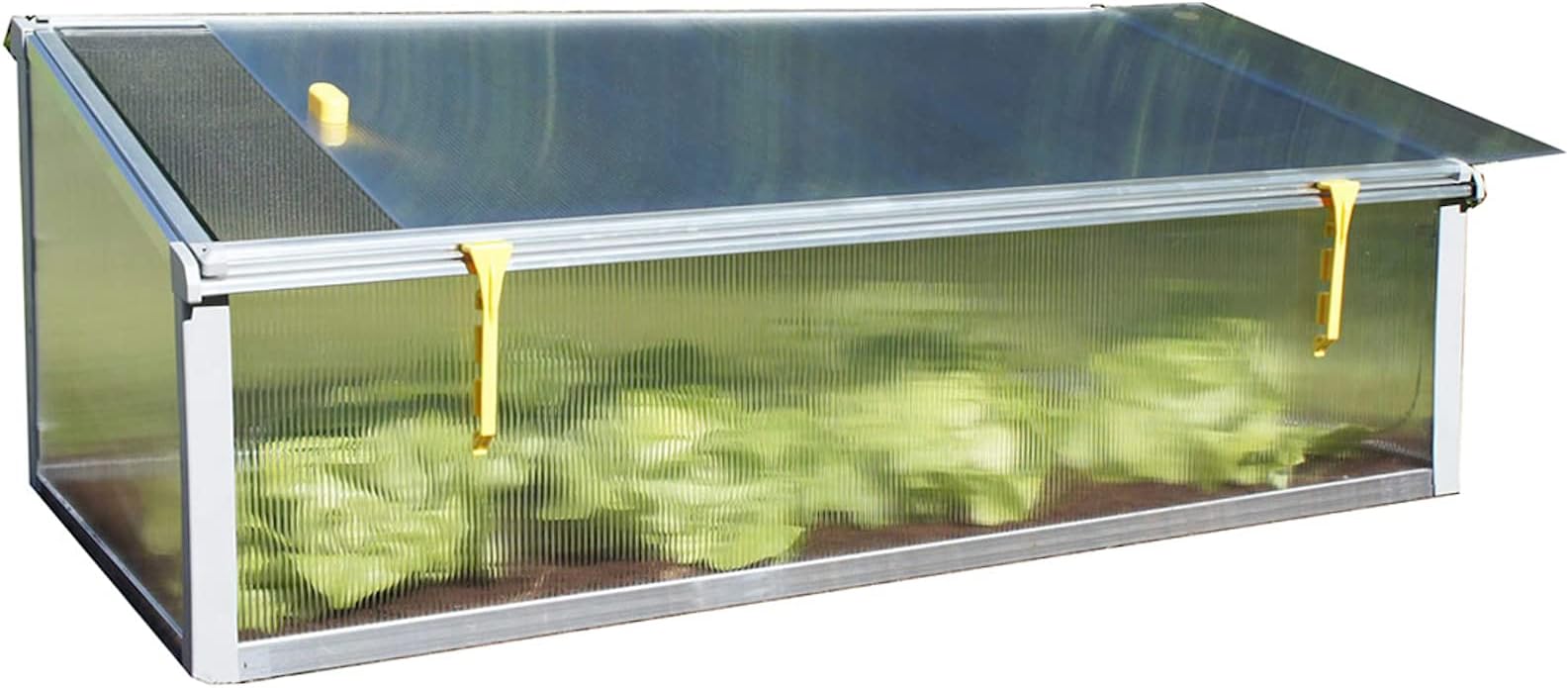 Exaco Year-Round-NP Season 2 x 4 ft. Cold Frame with Dual Purpose Screen or Polycarbonate Lid, Clear